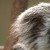 Profile picture of phon